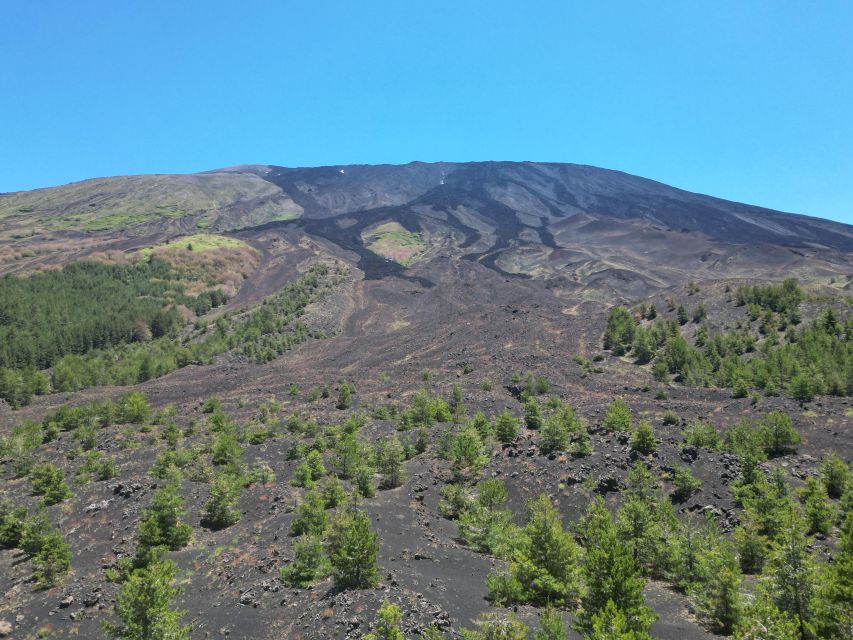 Mount Etna E-Bike Tour: Tour of Etna - Bike Specifications