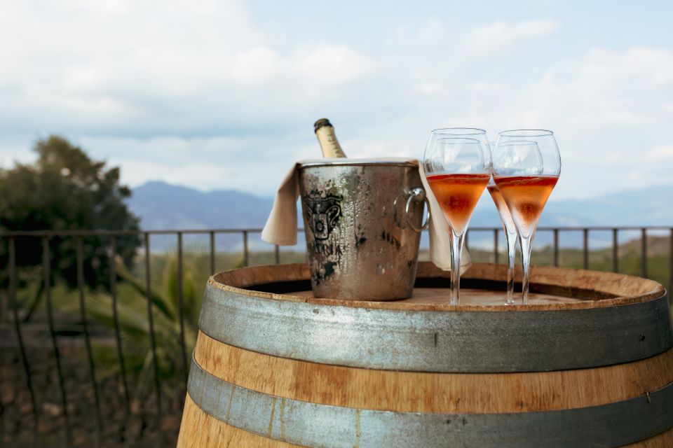 Mount Etna: Food and Wine Small Group Tasting Tour - Organic Lunch at Farmhouse