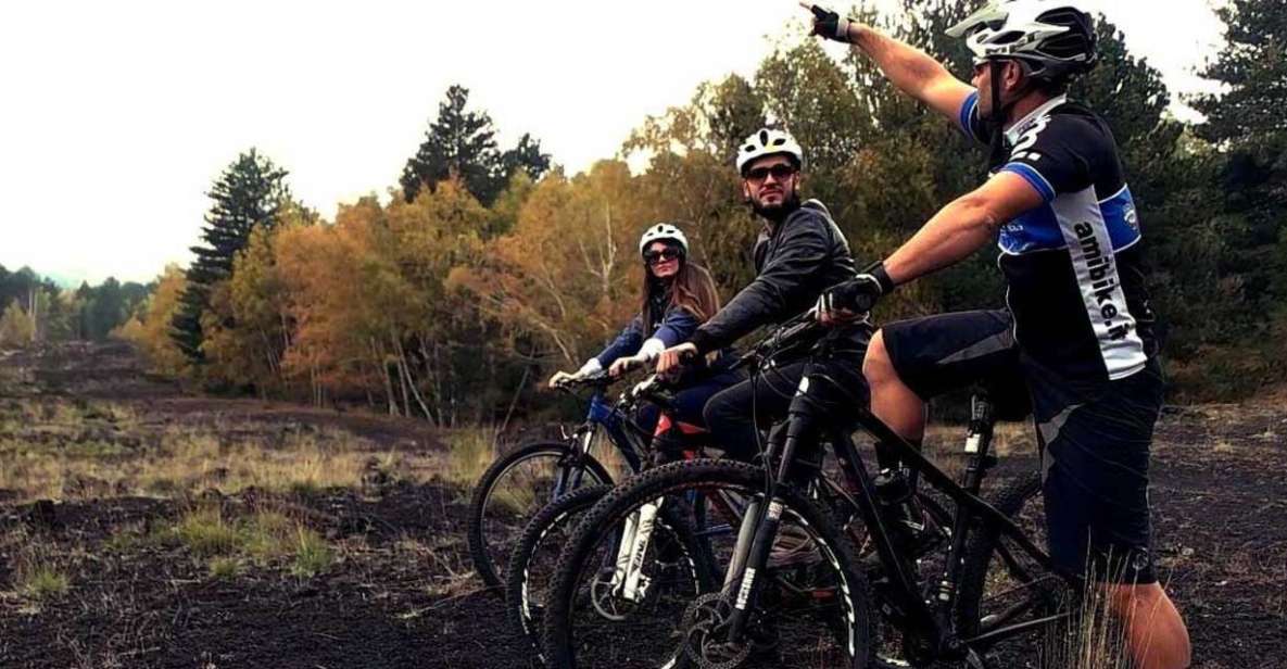 Mount Etna: Guided Mountain Bike Tour - Highlights