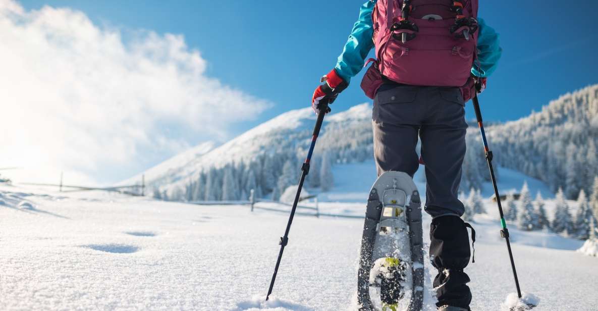 Mount Etna: Guided Snowshoeing Trekking Tour - Tour Pricing and Duration