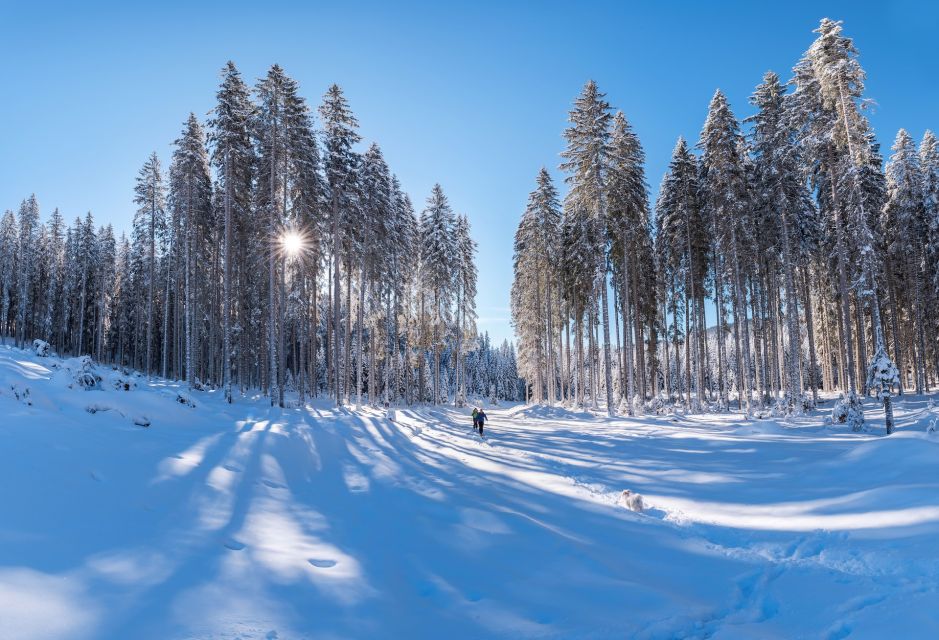 Mount Etna: Guided Snowshoeing Trekking Tour - Whats Included in the Tour