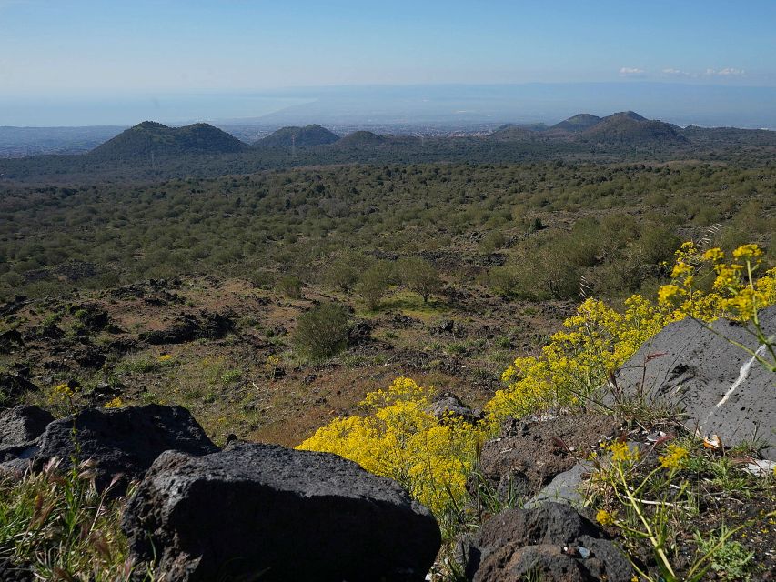 Mount Etna: Half-day Morning Jeep Tour - Frequently Asked Questions