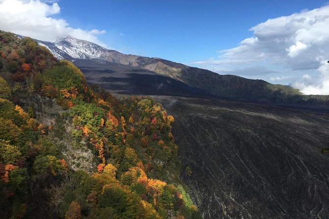 Mount Etna Morning Tour 2000 M. - Pickup and Drop-off Convenience