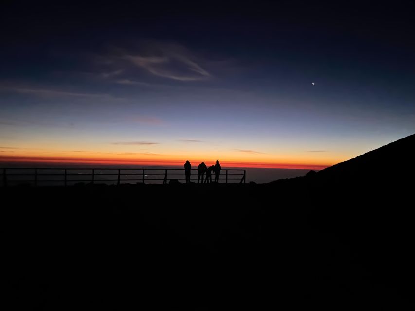 Mount Etna: Sunrise Excursion With an Expert Local Guide - Experience Local Flora and Fauna