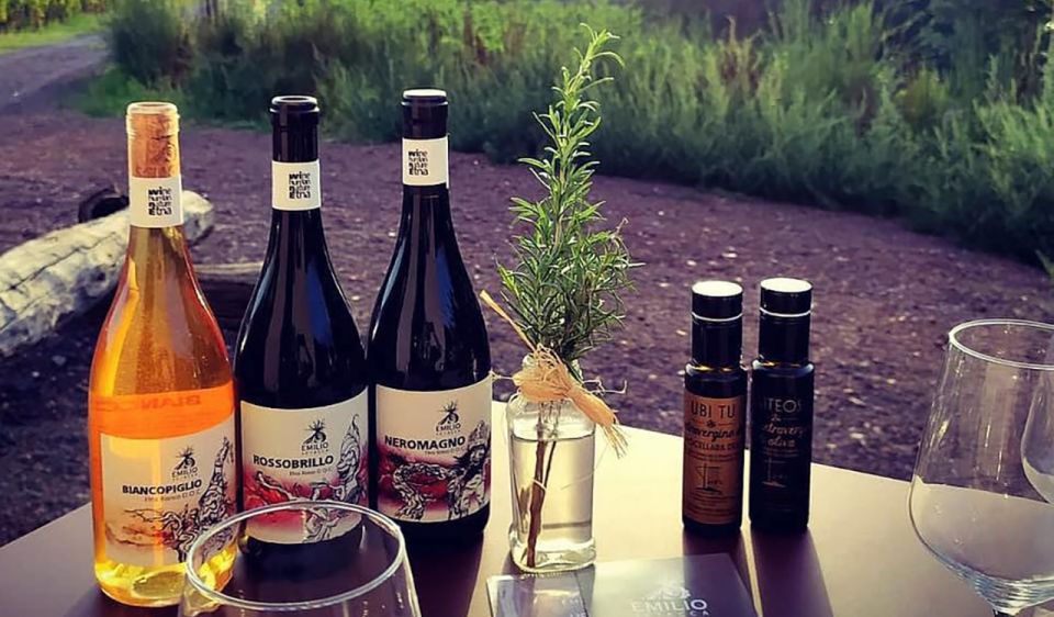 Mount Etna: Tasting and Winery Tour - Itinerary Overview