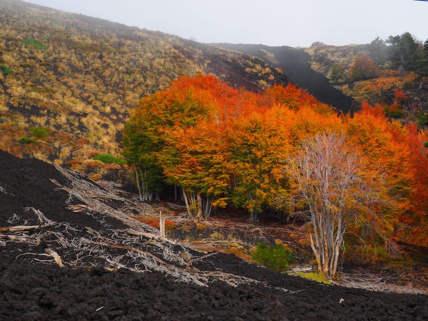 Mount Etna: Trek to the Craters of The 2002 Eruption - Essential Trekking Information