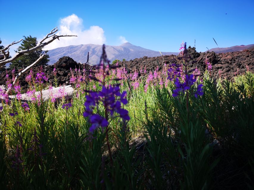 Mount Etna: Trek to the Craters of The 2002 Eruption - What to Bring