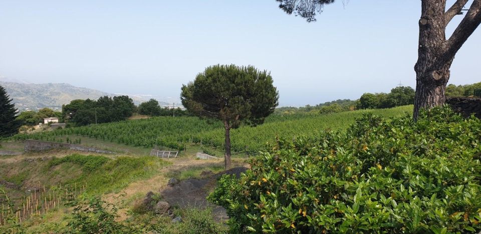 Mount Etna Trekking & Wine - Guided Trekking Experience