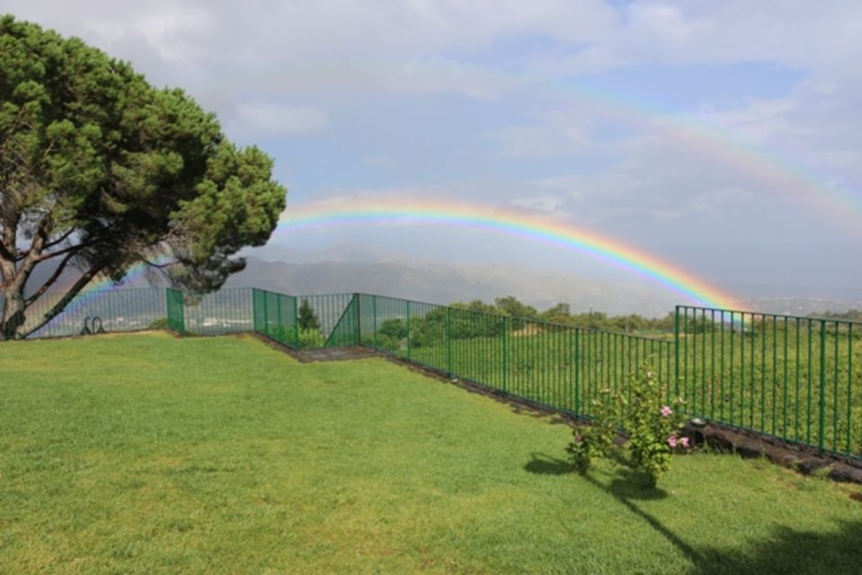 Mount Etna: Winery Tour and Tasting - Customer Reviews
