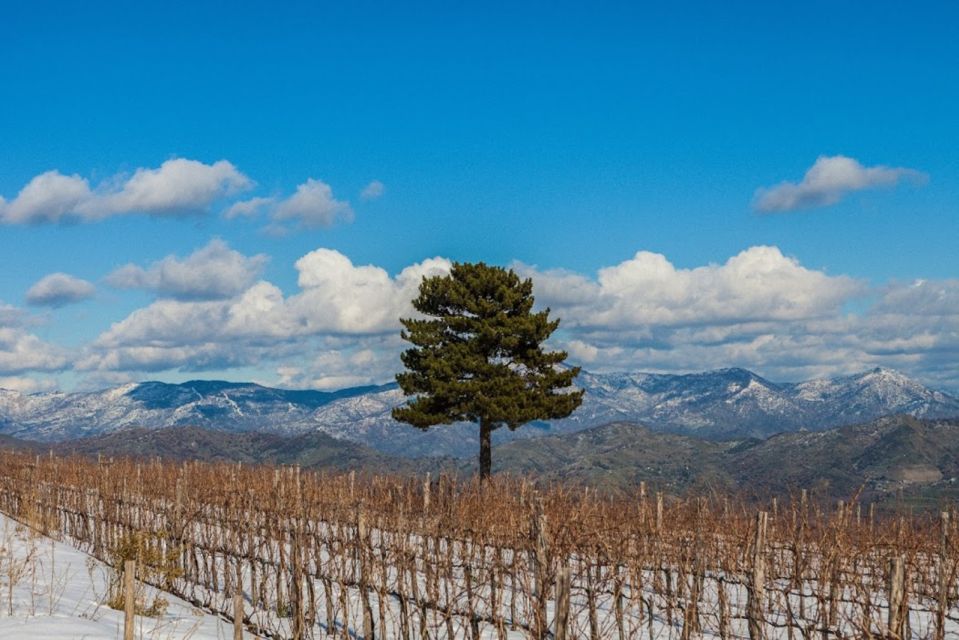 Mount Etna: Winery Tour and Tasting - Frequently Asked Questions