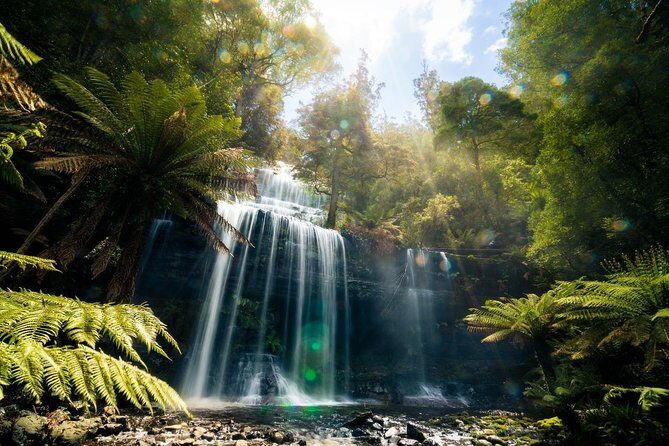 Mount Field Day Tour Private Charter Service ( 3 days in advance - The Sum Up