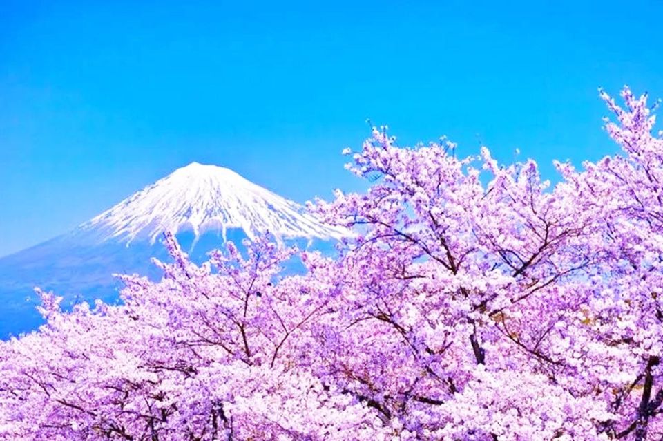 Mount Fuji Area, Hikawa Clock Shop, Dream Bridge 1-Day Tour - Key Points