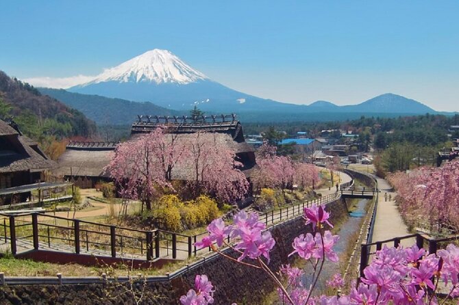 Mount Fuji Day Tour on Scenic Lakes and Oshino Hakkai Adventure - Meeting and Pickup Information