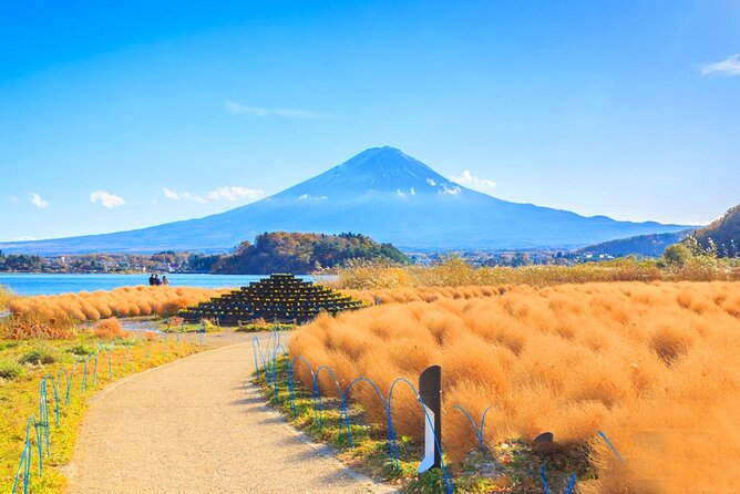 Mount Fuji Day Tour on Scenic Lakes and Oshino Hakkai Adventure - Health and Accessibility Information