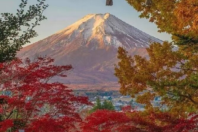 Mount Fuji Day Tour on Scenic Lakes and Oshino Hakkai Adventure - Oshino Hakkai