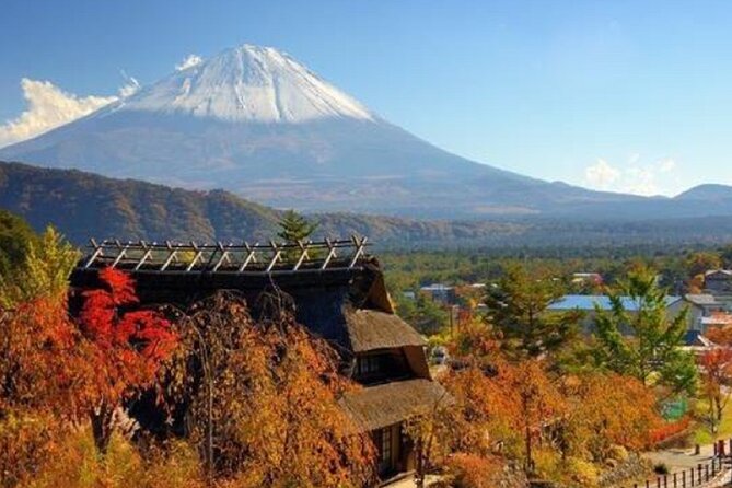 Mount Fuji Day Tour on Scenic Lakes and Oshino Hakkai Adventure - Saiko Healing Village Root Field