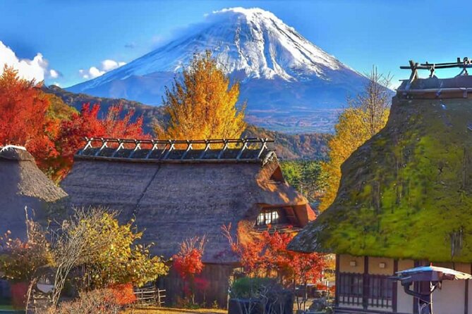 Mount Fuji Day Tour on Scenic Lakes and Oshino Hakkai Adventure - Additional Information and Regulations