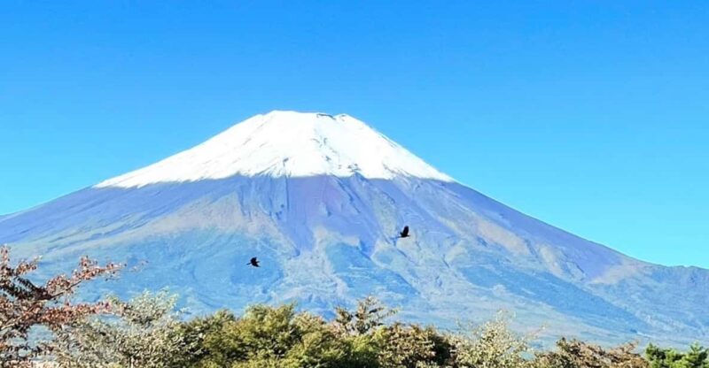 Mount Fuji Day Tour With English Speaking Guide - Itinerary Highlights