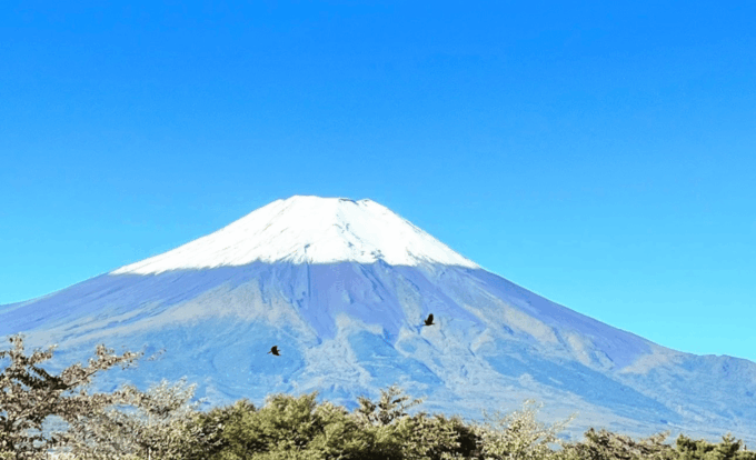 Mount Fuji Full Day Tour With Private Guide With Pick-Up - Booking and Cancellation Policy