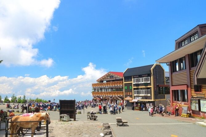 Mount Fuji, Mount Fuji Panoramic Ropeway & Seasonal Fruits Picking - Exclusions