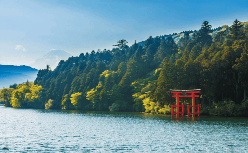 Mount Fuji or Hakone Private Customized Group Tour - Key Points