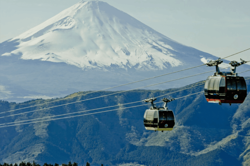 Mount Fuji or Hakone Private Customized Group Tour - Transportation and Amenities