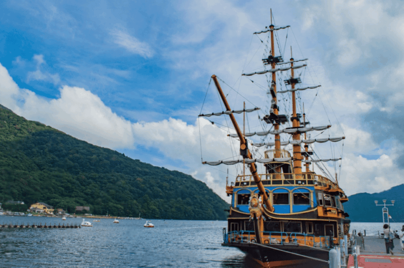 Mount Fuji or Hakone Private Customized Group Tour - Customer Feedback