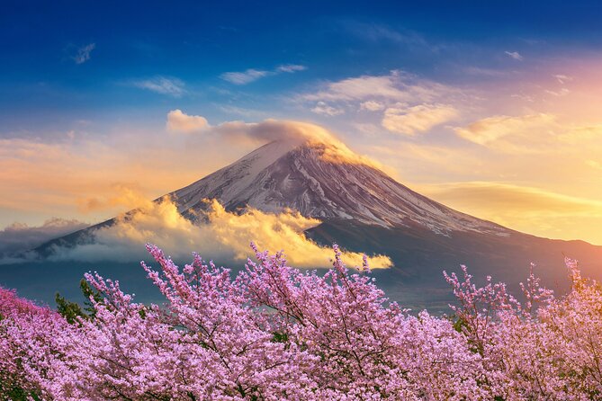 Mount Fuji Private Tour by Car - English Speaking Driver - Positive Customer Reviews