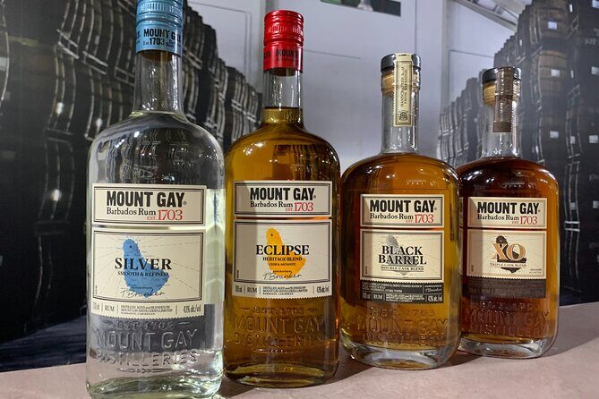 Mount Gay Signature Rum Tasting Experience - Group Size, Timing, and Overall Value