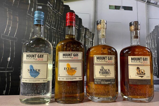 Mount Gay Signature Rum Tasting Experience - Authenticity and Reviews