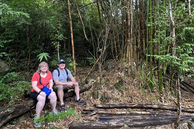 Mount Healthy National Park Private Hike Tour in Tortola - Detailed Review of the Experience
