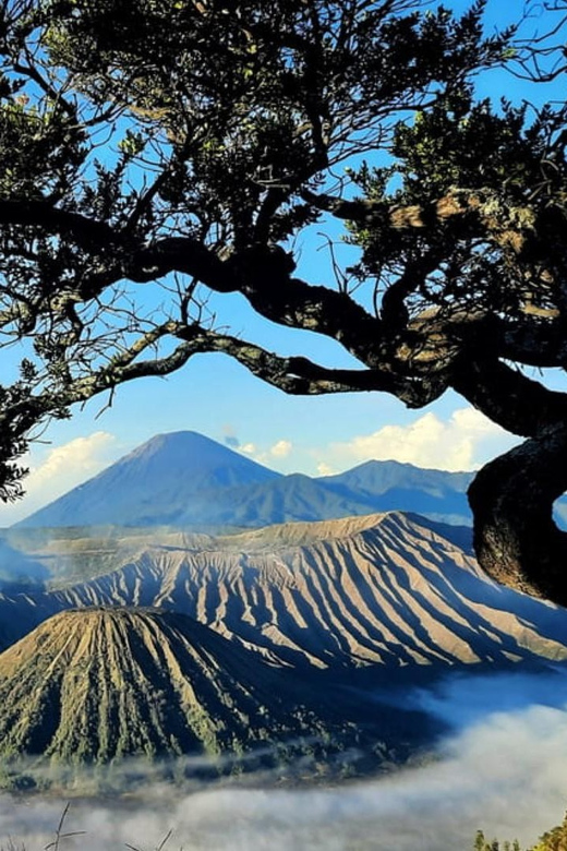 Mount Ijen, Mount Bromo, and Tumpak Sewu Waterfall - Experience Highlights