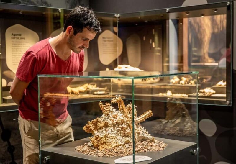 Mount Isa: Riversleigh Fossil Discovery Centre Guided Tour - An In-depth Look at the Riversleigh Fossil Discovery Centre Guided Tour