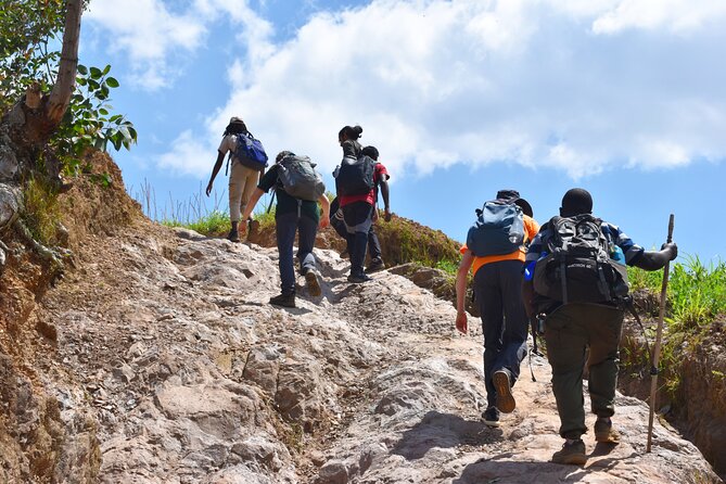 Mount Kabuye Hiking - Navigating the Trails