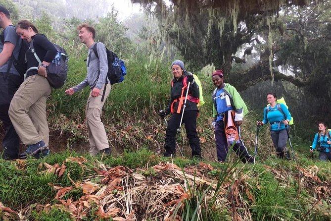 Mount Kilimanjaro 6 Days - Machame Route - Meeting and Pickup Details