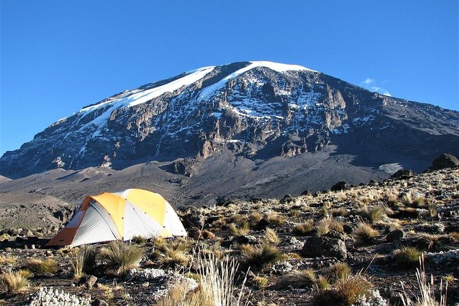 Mount Kilimanjaro 7 Days - Machame Route - Safety and Health Considerations