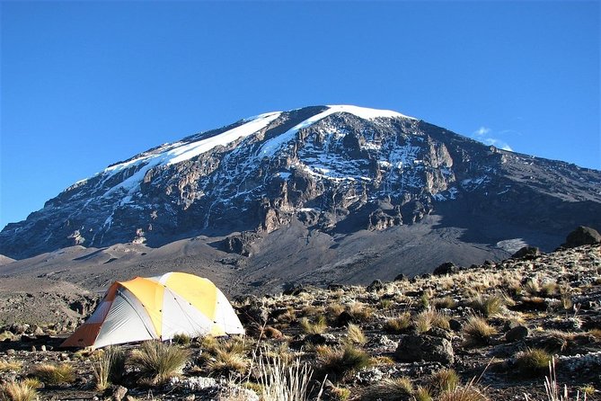 Mount Kilimanjaro Trek 7-Days: Lemosho Route - Inclusions and Services