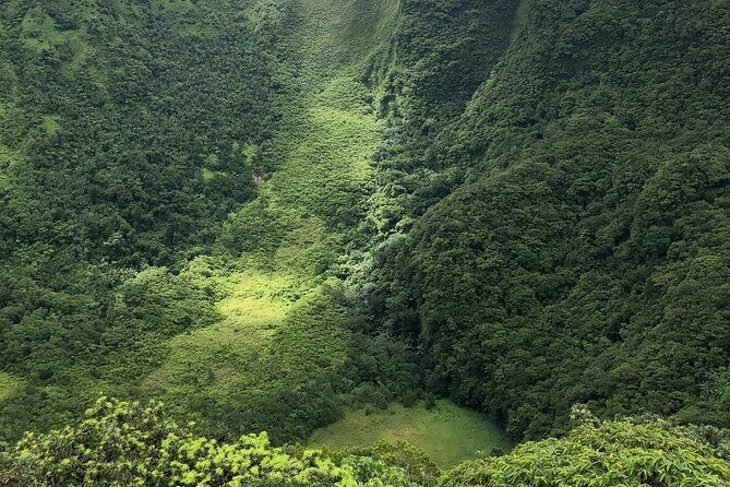 Mount Liamuiga Volcano Hike St Kitts Highest peak - An In-Depth Look at the Mount Liamuiga Hike Experience