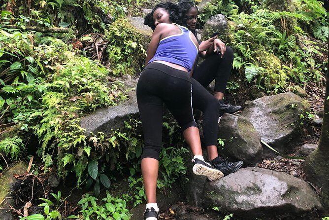 Mount Liamuiga Volcano Tours - Key Points