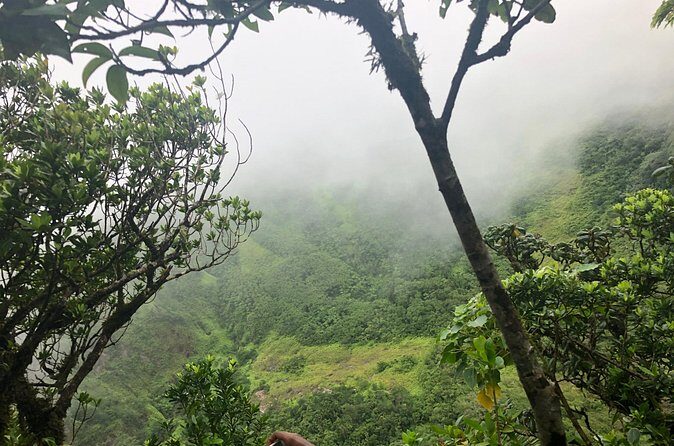 Mount Liamuiga Volcano Tours - Considerations and Caveats