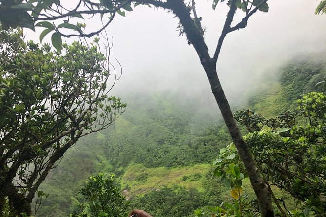 Mount Liamuiga Volcano Tours - Frequently Asked Questions