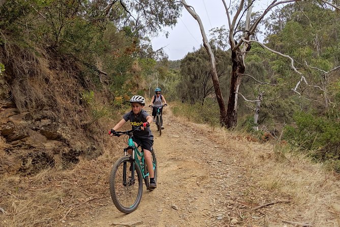 Mount Lofty Descent Bike Tour From Adelaide - Participant Guidelines