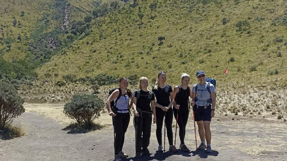 Mount Merbabu Day Hiking Tour - Key Points