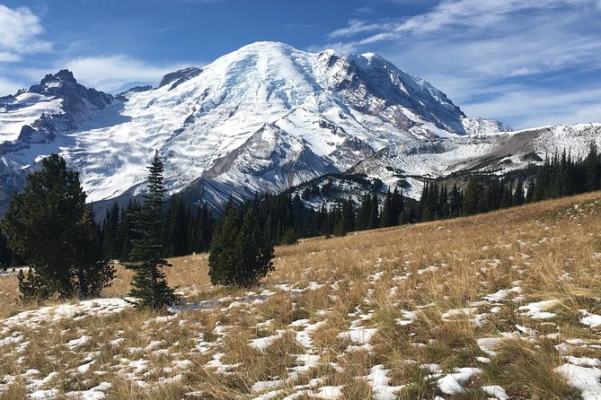 Mount Rainier Day Hike - Inclusions and Amenities