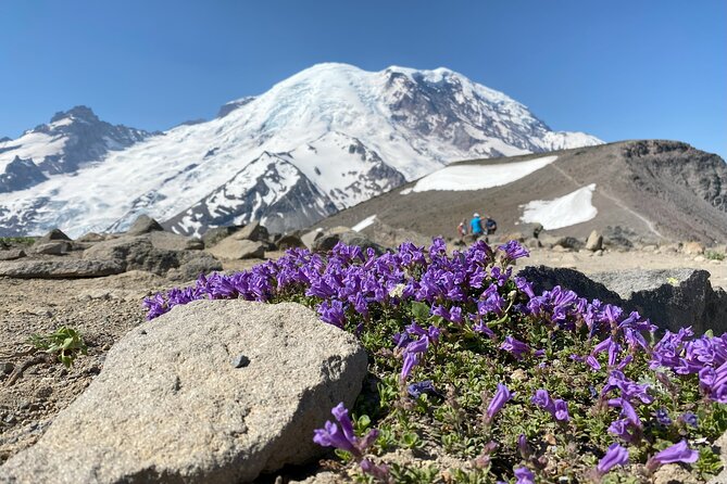 Mount Rainier Day Hike - Traveler Feedback and Experiences