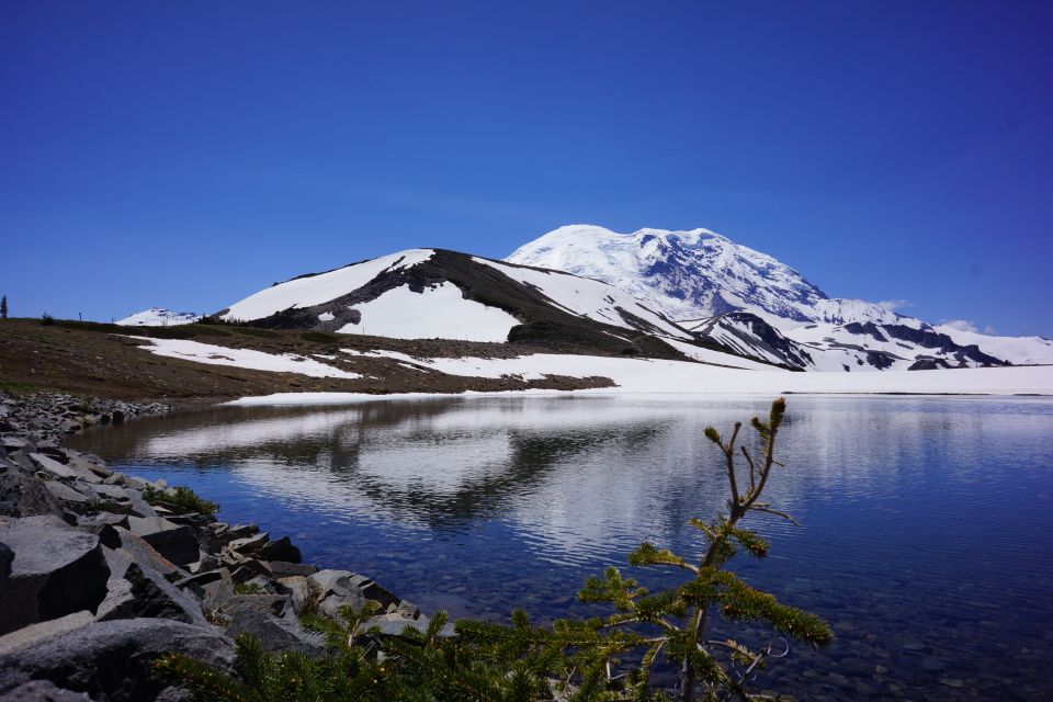 Mount Rainier: Day Hike on the Mountain - Breathtaking Views of the Mountain