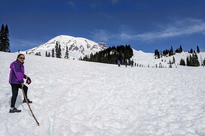 Mount Rainier National Park - Private Luxury Day Tour With Lunch - Transportation Comfort