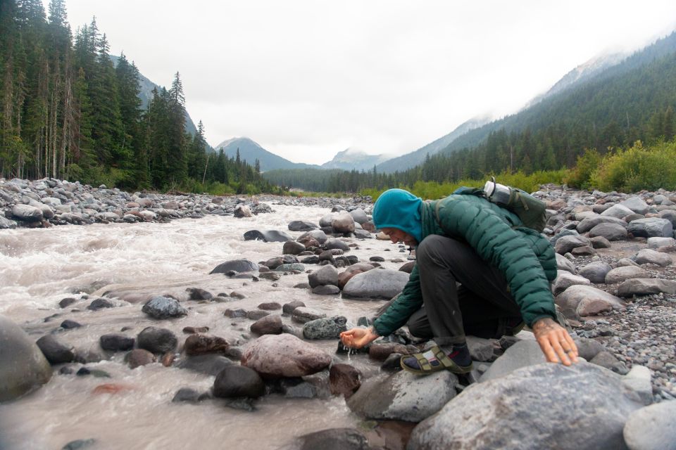 Mount Rainier NP: Full Day Private Tour & Hike From Seattle - Pricing and Duration