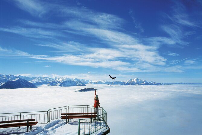 Mount Rigi Day Ticket - Final Thoughts: Who Should Consider This Experience?