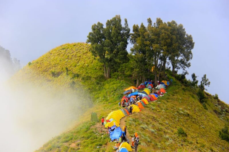 Mount Rinjani: 3-Day Trek to Summit, Lake and Hot Spring - Trek Overview and Pricing